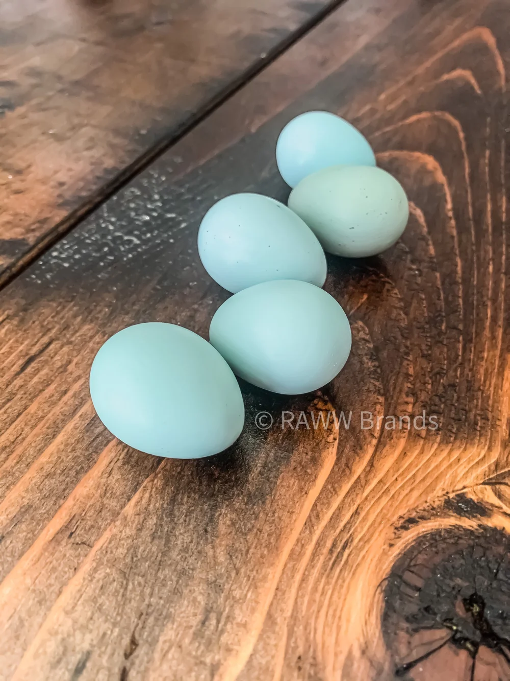 livestock supplies Poultry Supplies Livestock Supplies Celadon Quail