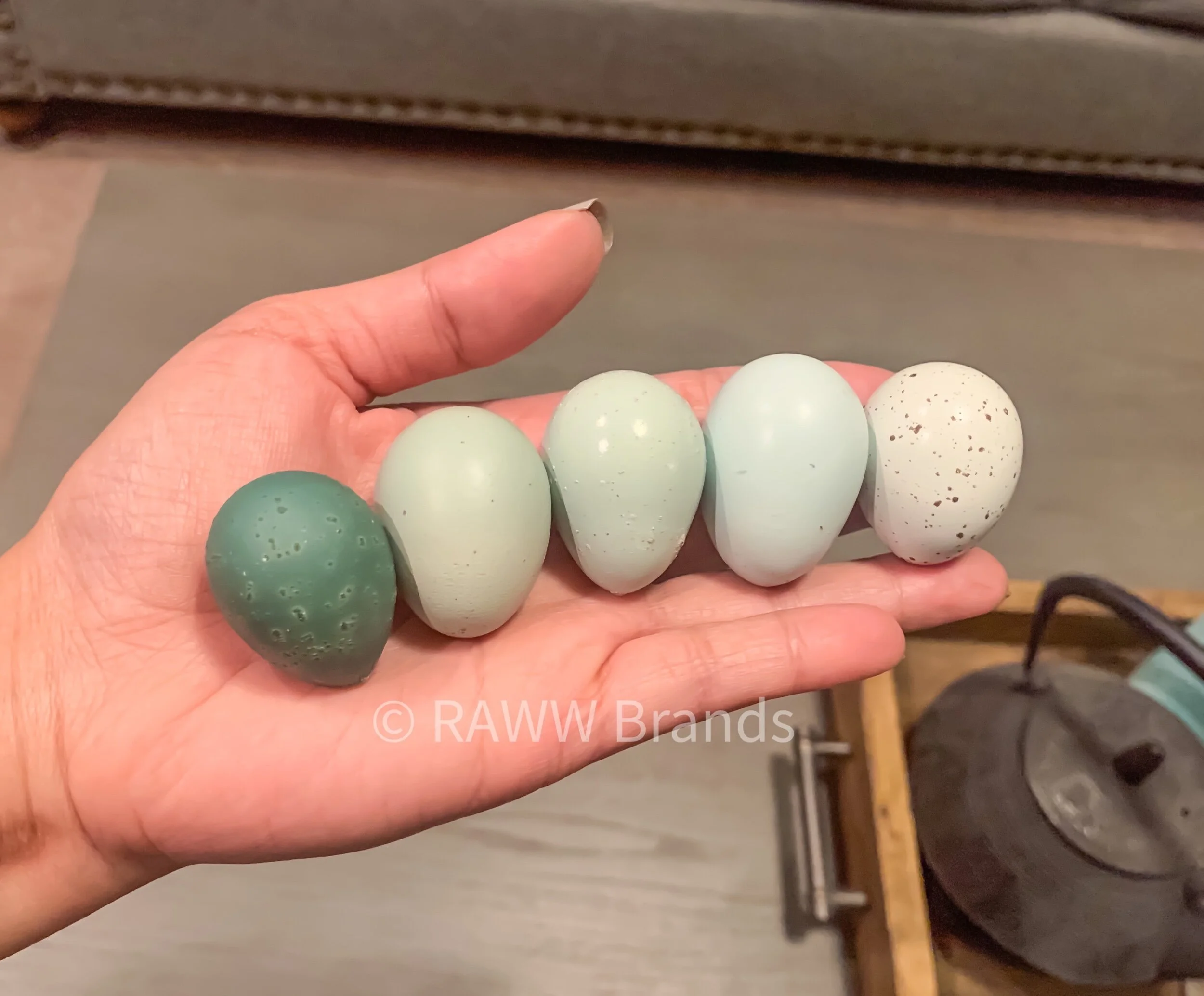 Celadon Quail Hatching Eggs - Educational Guide