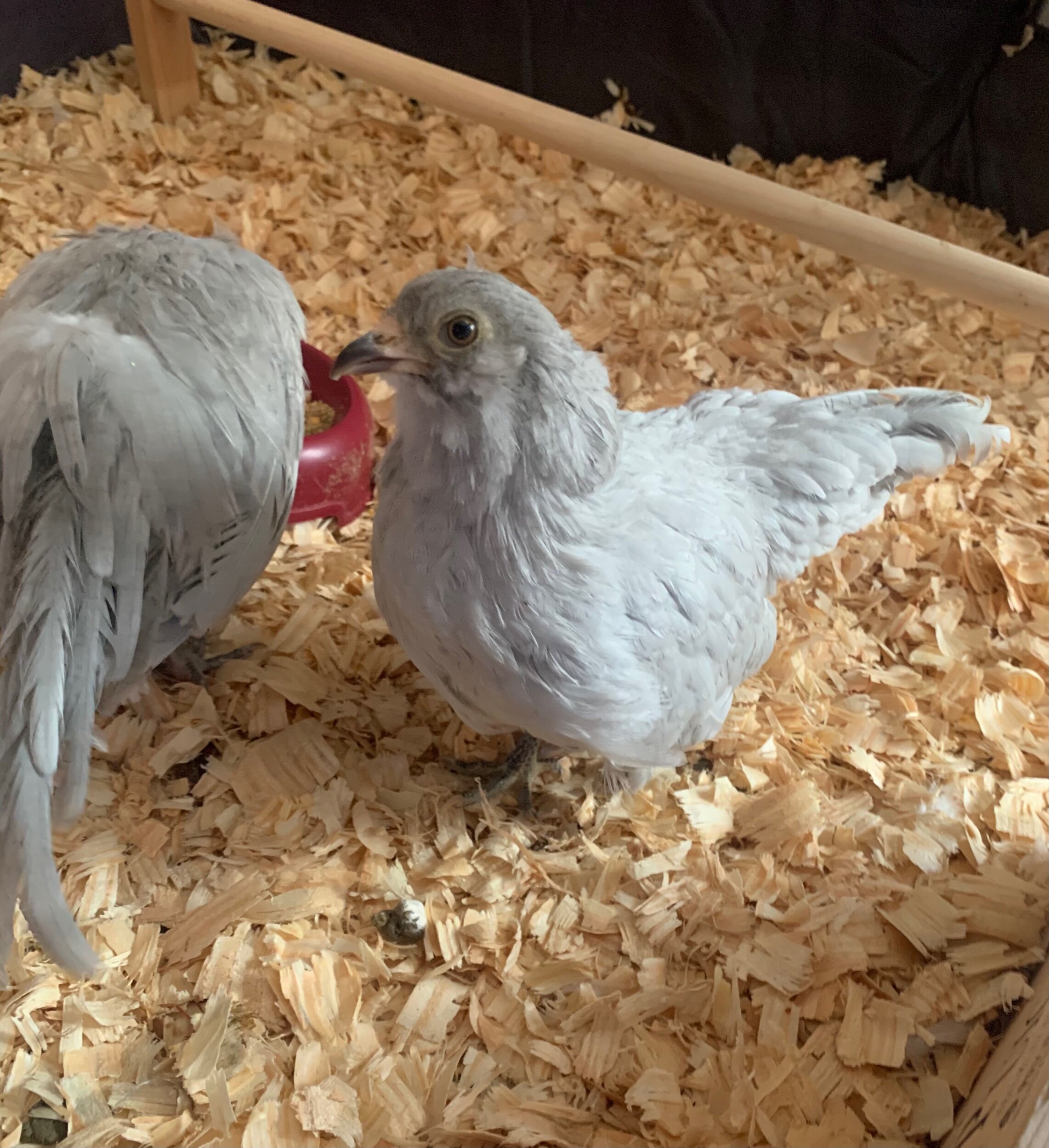 FE00C7BB-026A-4FDA-9366-E835621E2E20