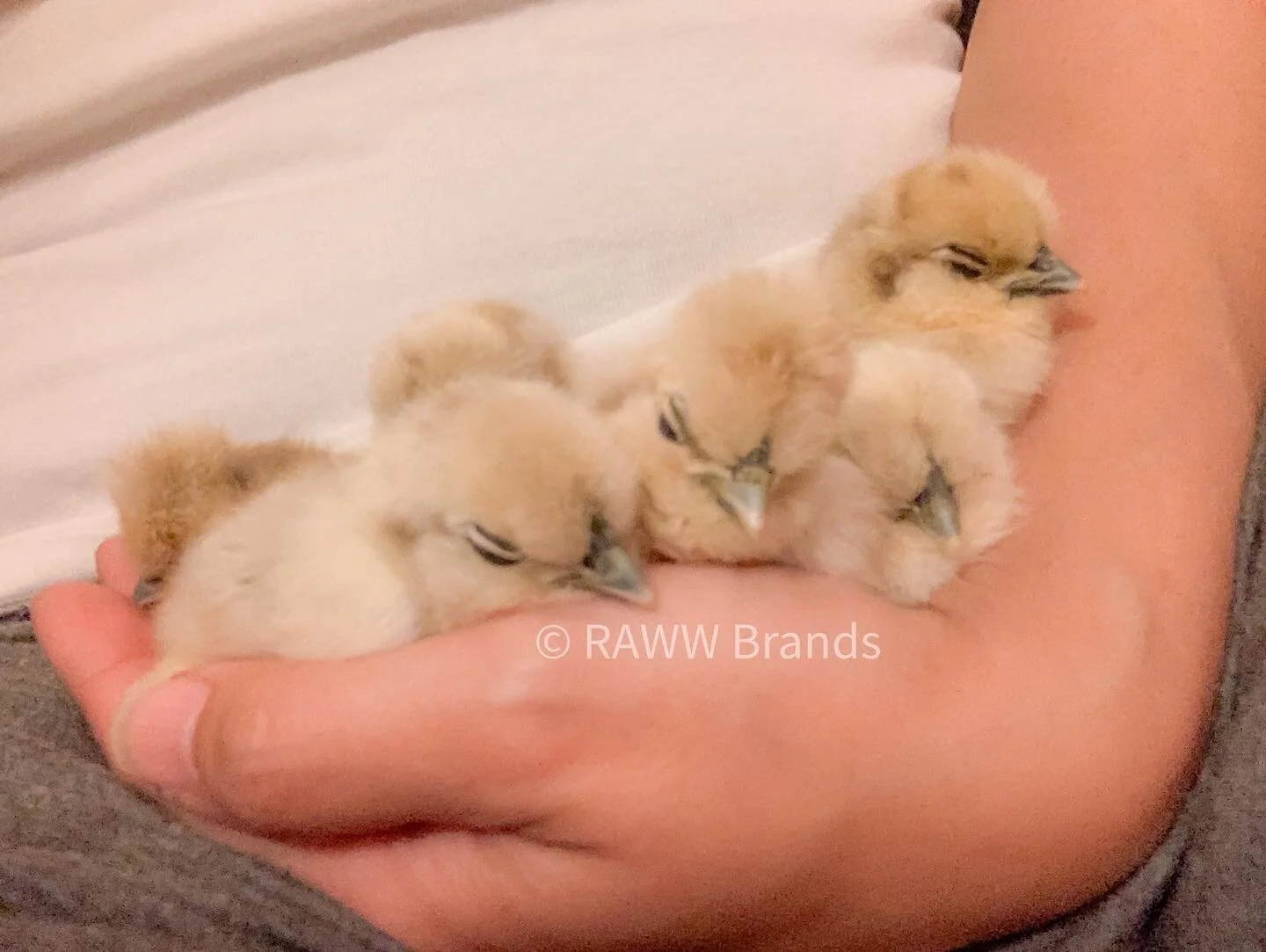 B5B5695D-E2D3-4EFB-847A-6D9931C19F3B