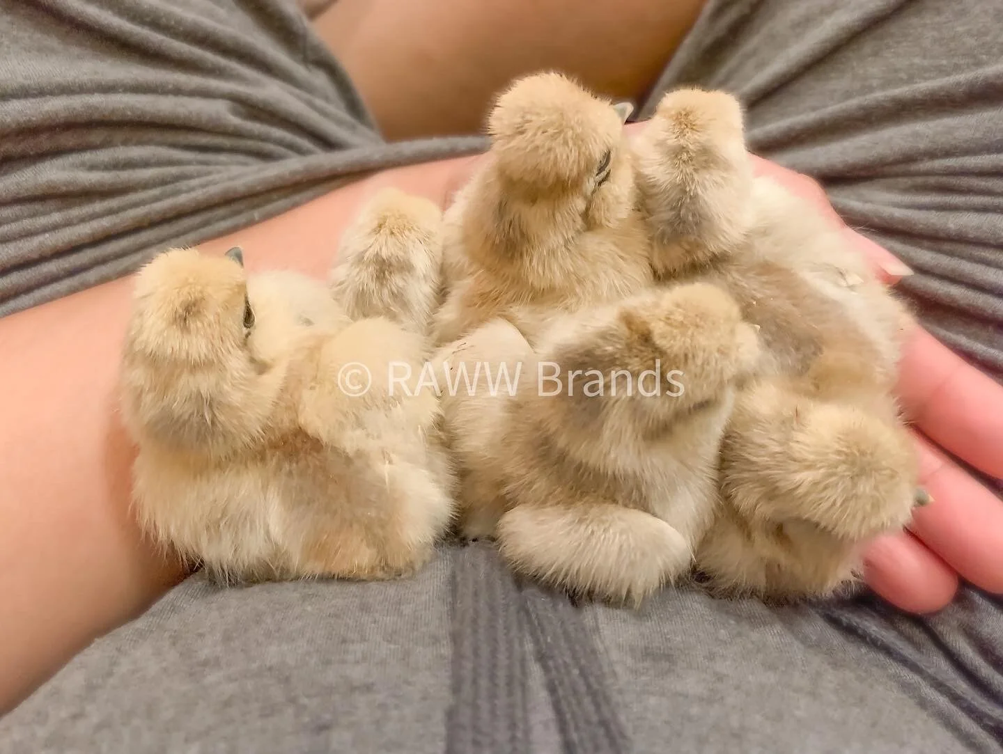 F160549B-437A-467C-A98E-0E3BF98E8D31