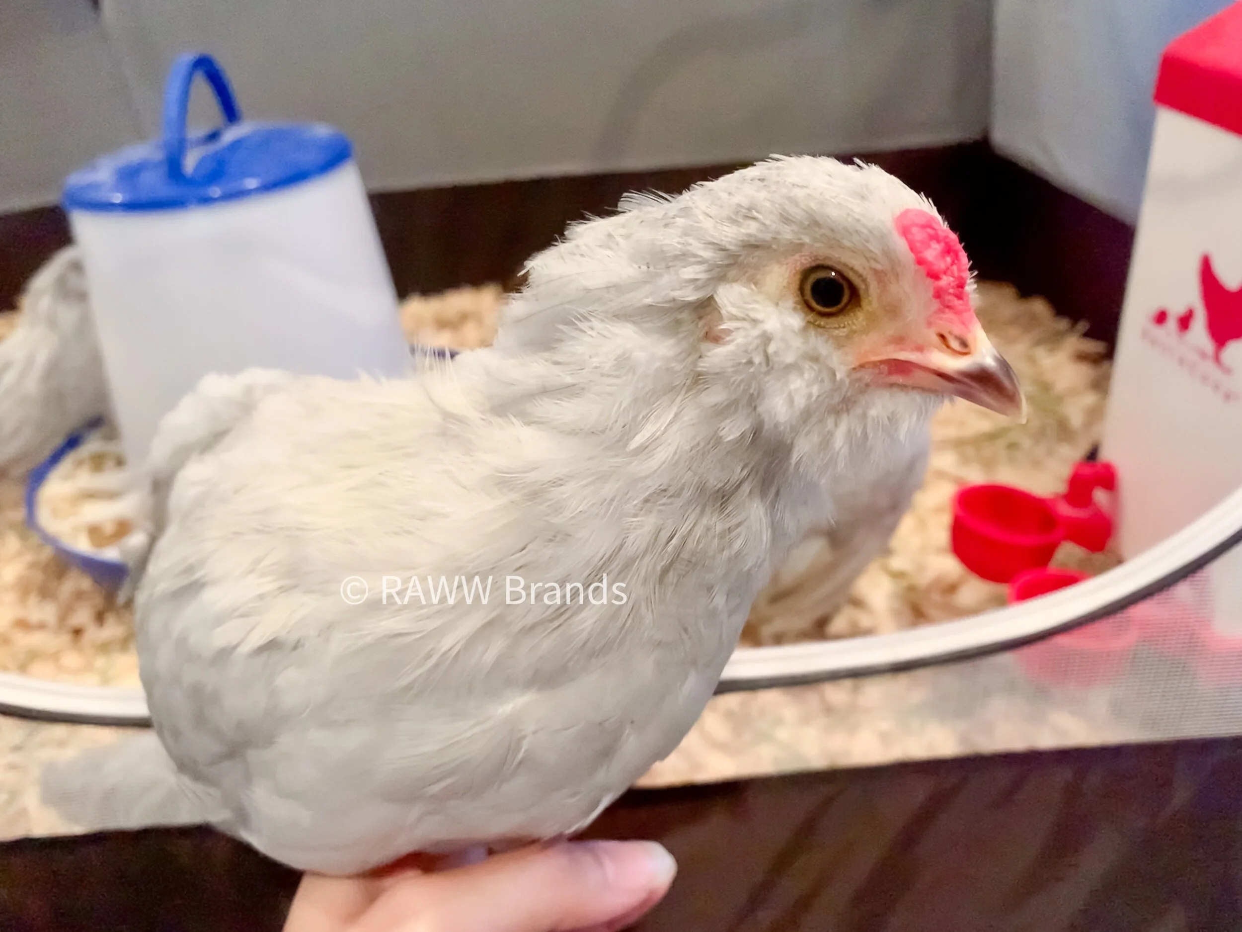 15F7A0CB-3F86-49BA-BC76-83B52AB1F646