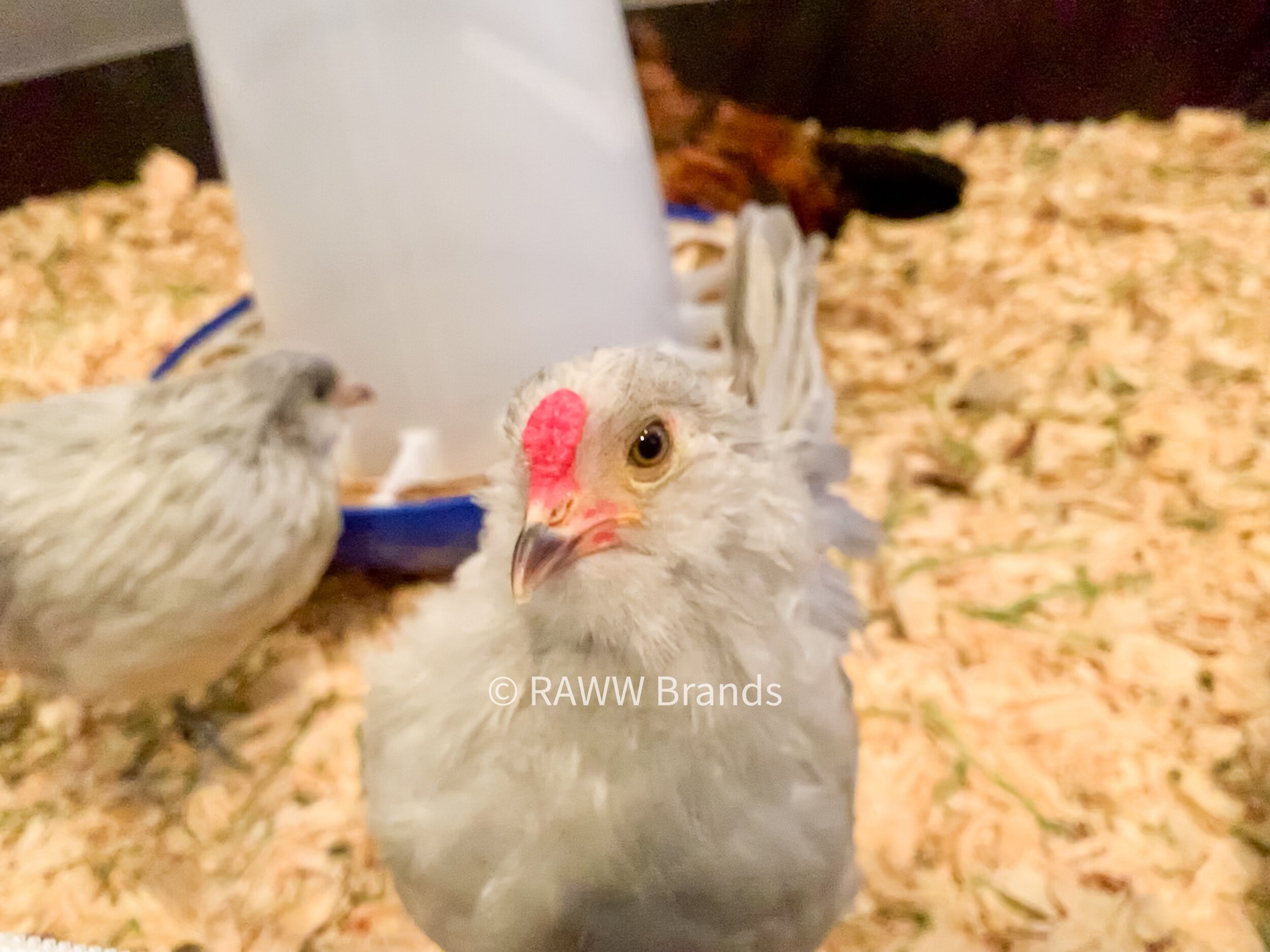 E13C0FB6-709E-4379-B107-4F505ED3152C