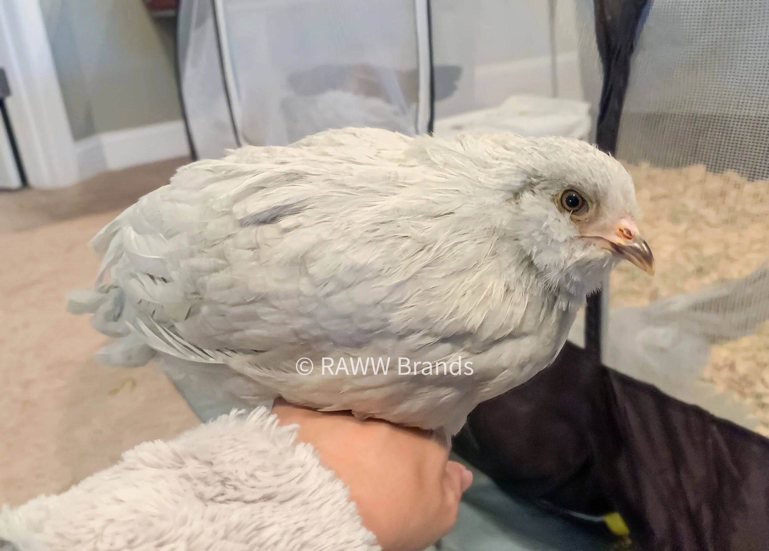 E69BF668-260F-4077-91CB-BEADC7D71FC6