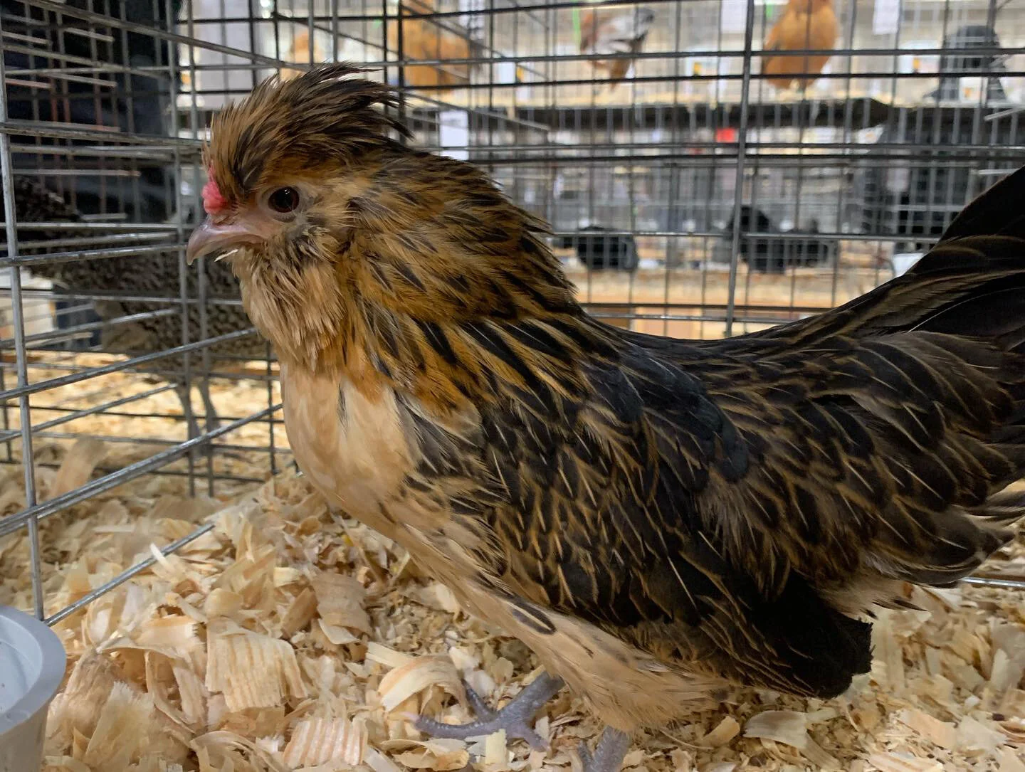 A52C5574-8D5C-4696-8C5B-1DCB8577F85D