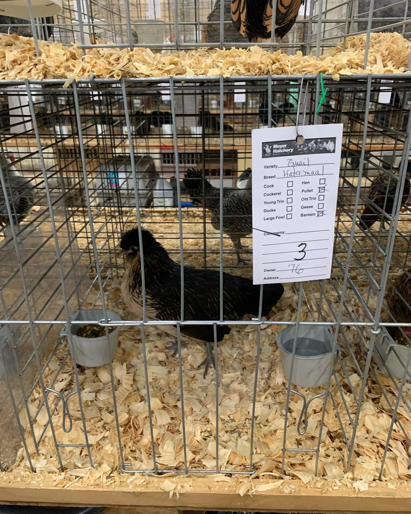 F01A4362-D1B4-47A0-A64E-E33F84BCCAB4