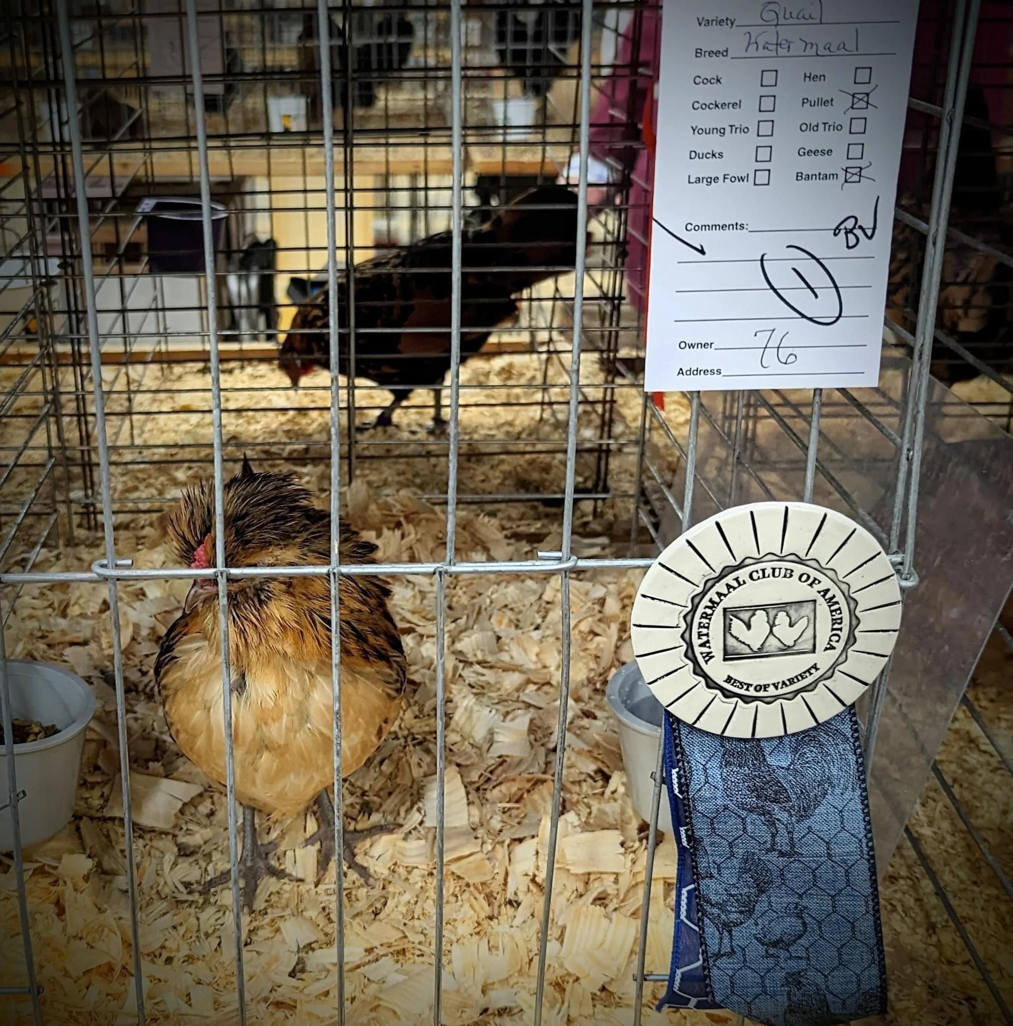 92E0682E-B4E4-4EB4-A771-02AE03AE47D1