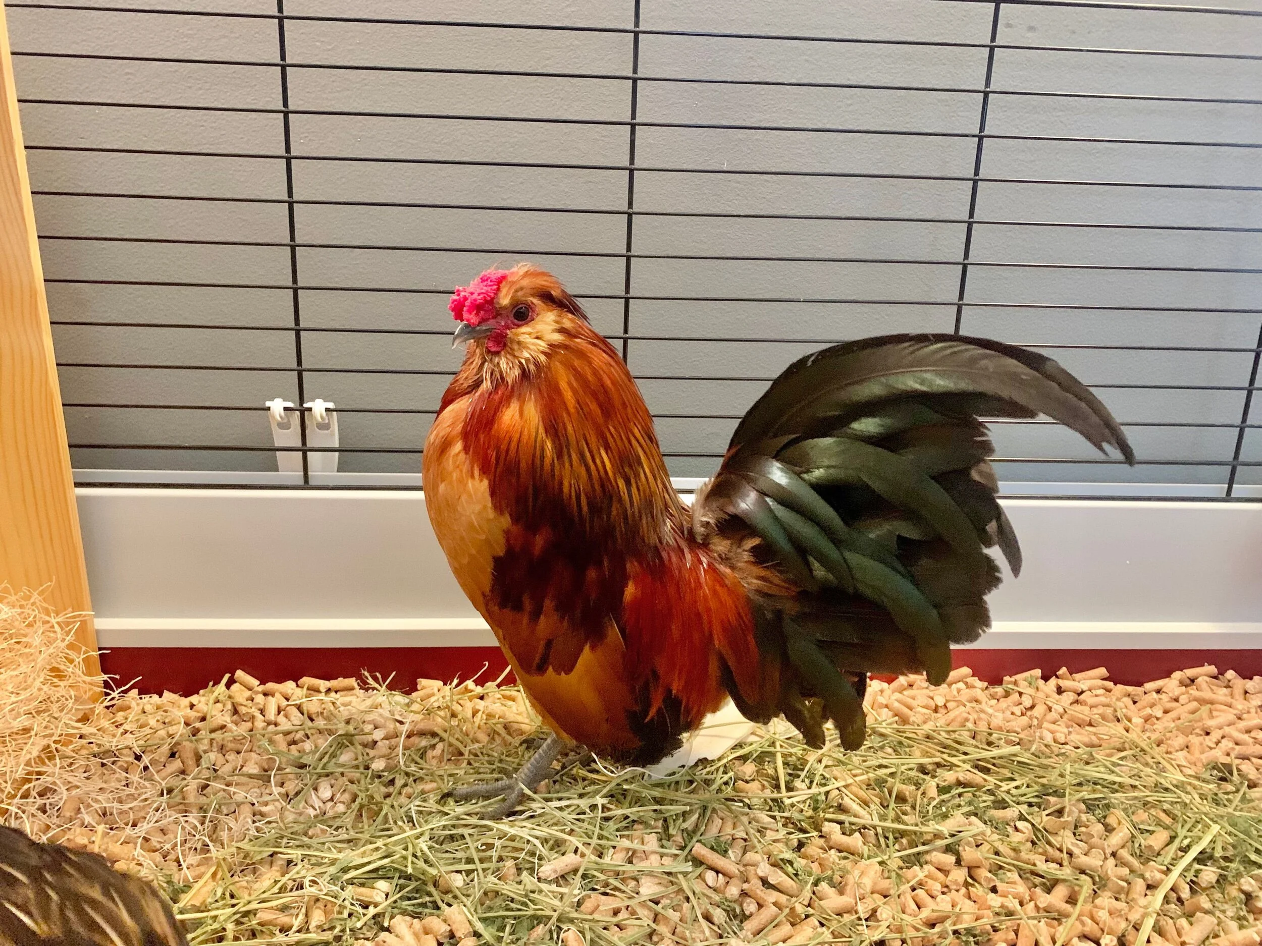 8B286FFD-3B91-4AE4-8A79-7904DB20B890