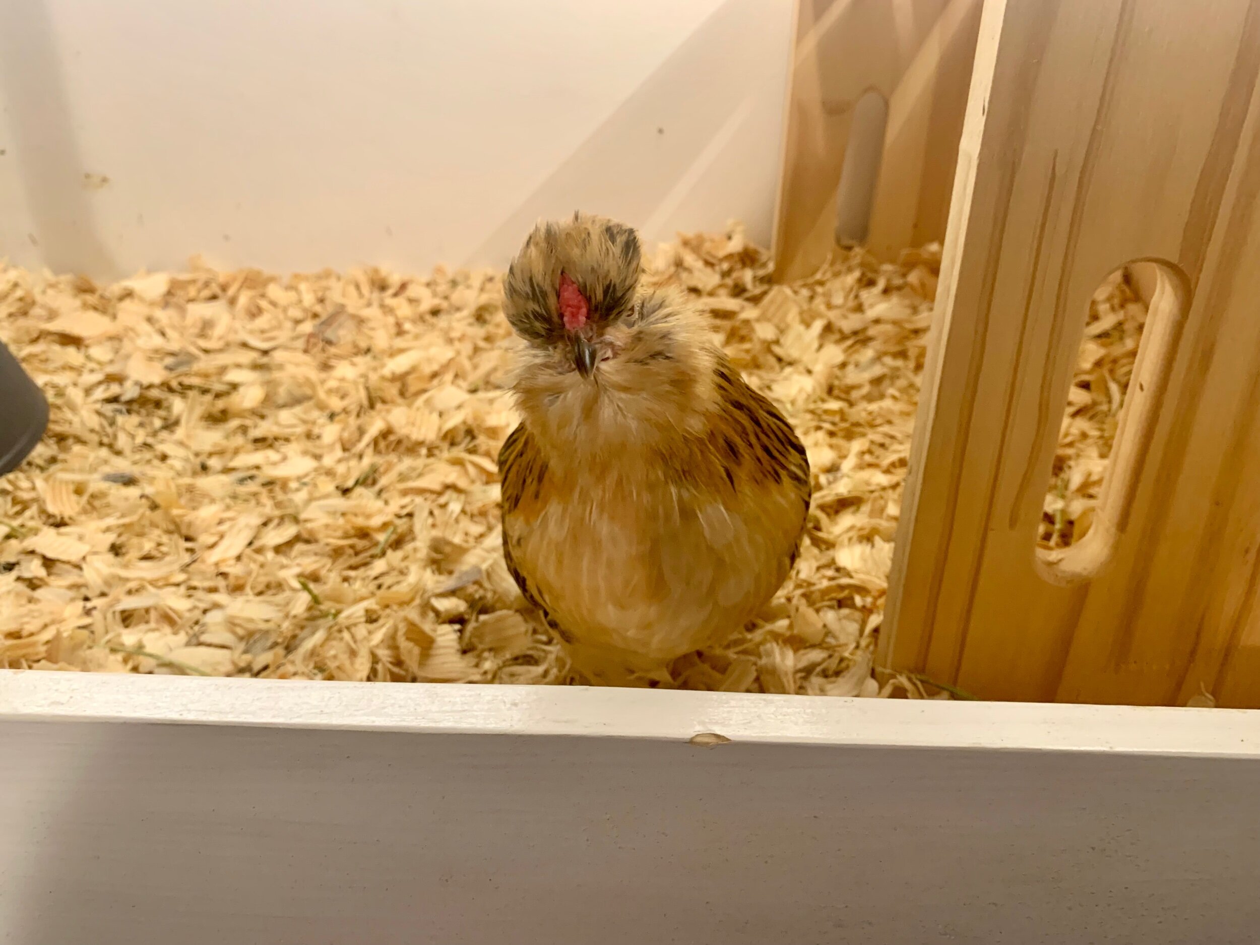 5E45CA9E-36B9-4A63-9D10-F738F20B9566