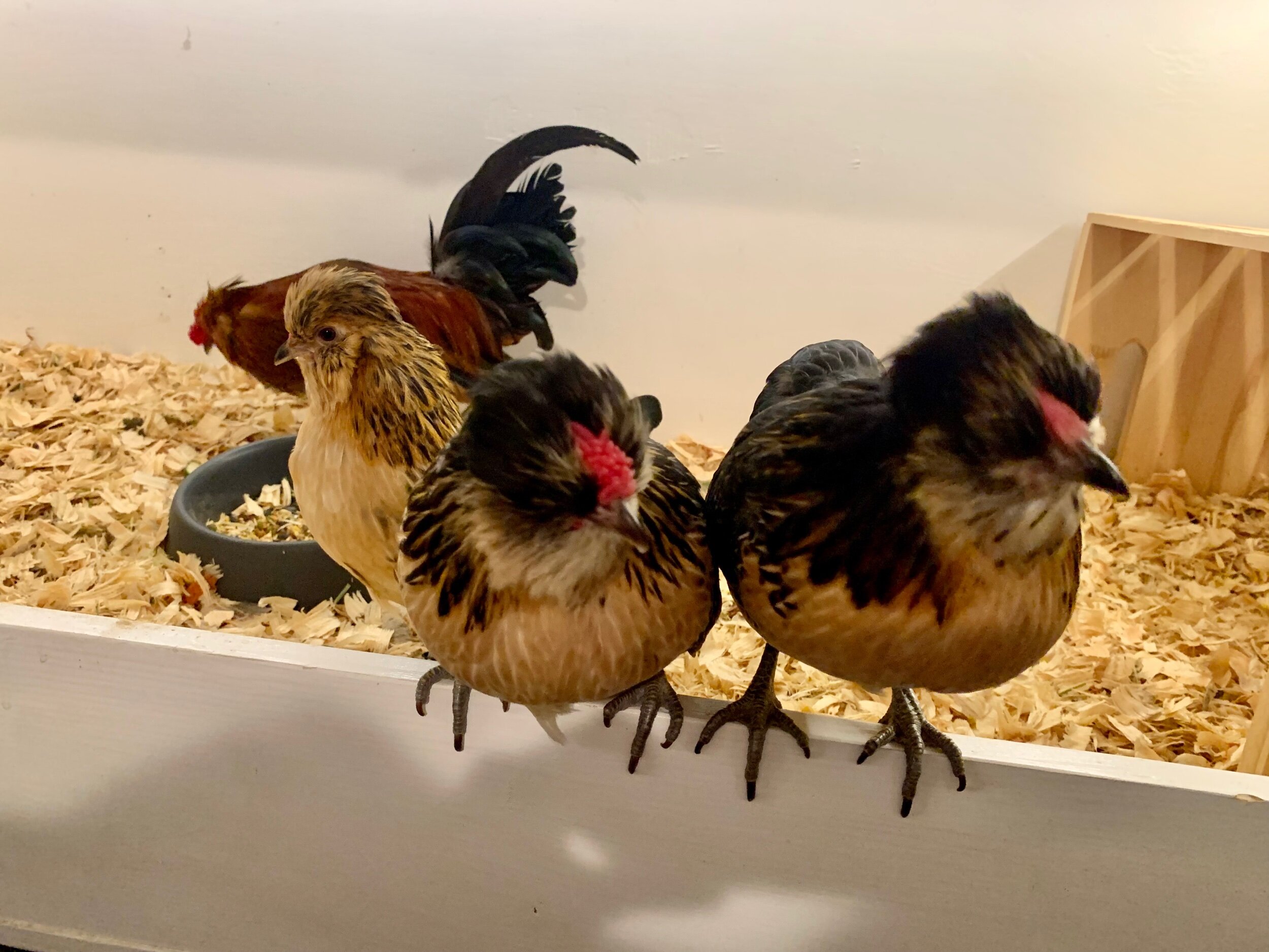 4147986C-4CBA-48B3-9888-41517B6AD9CC