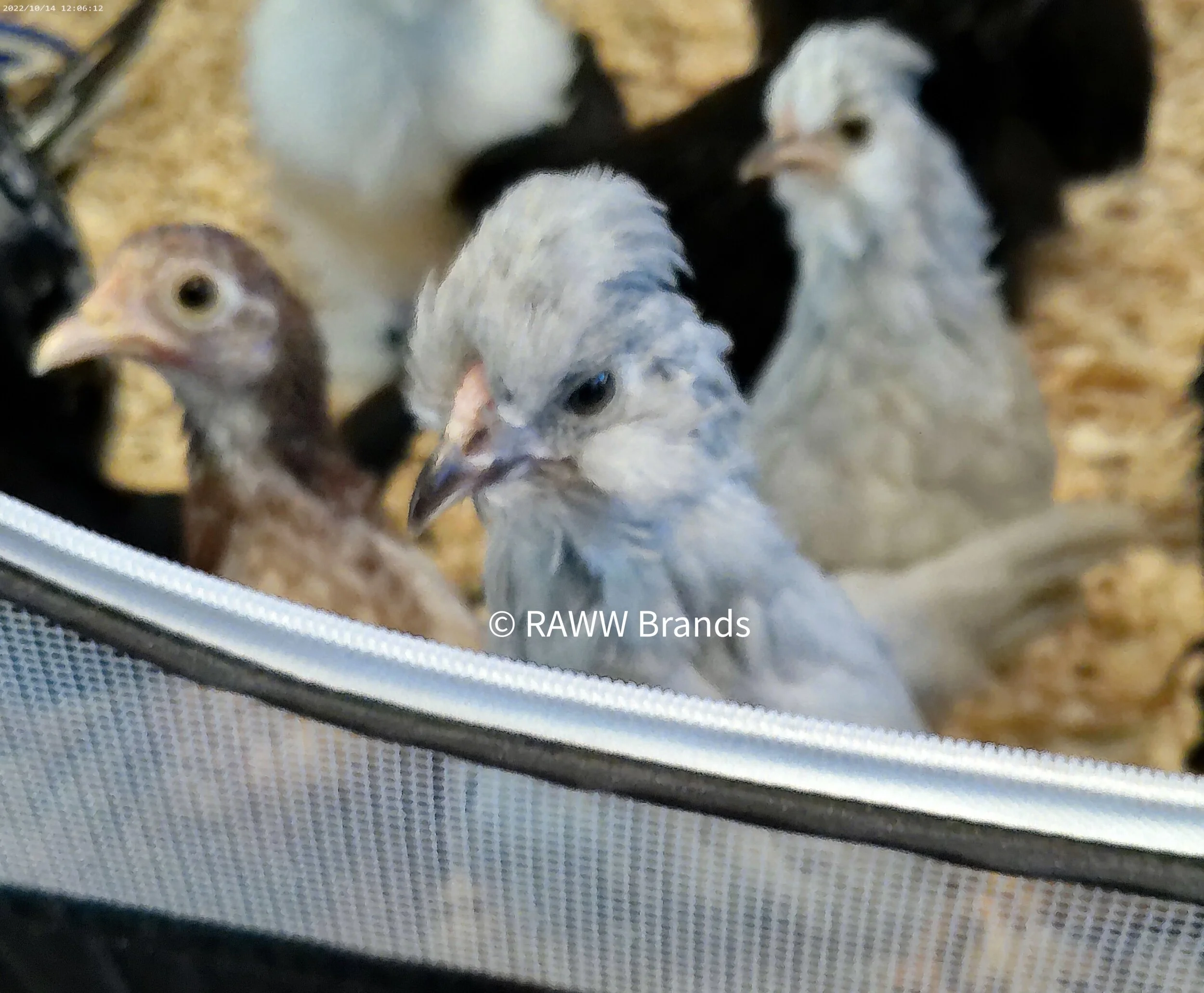 DFE39555-4493-4405-998B-6A60A61213FA