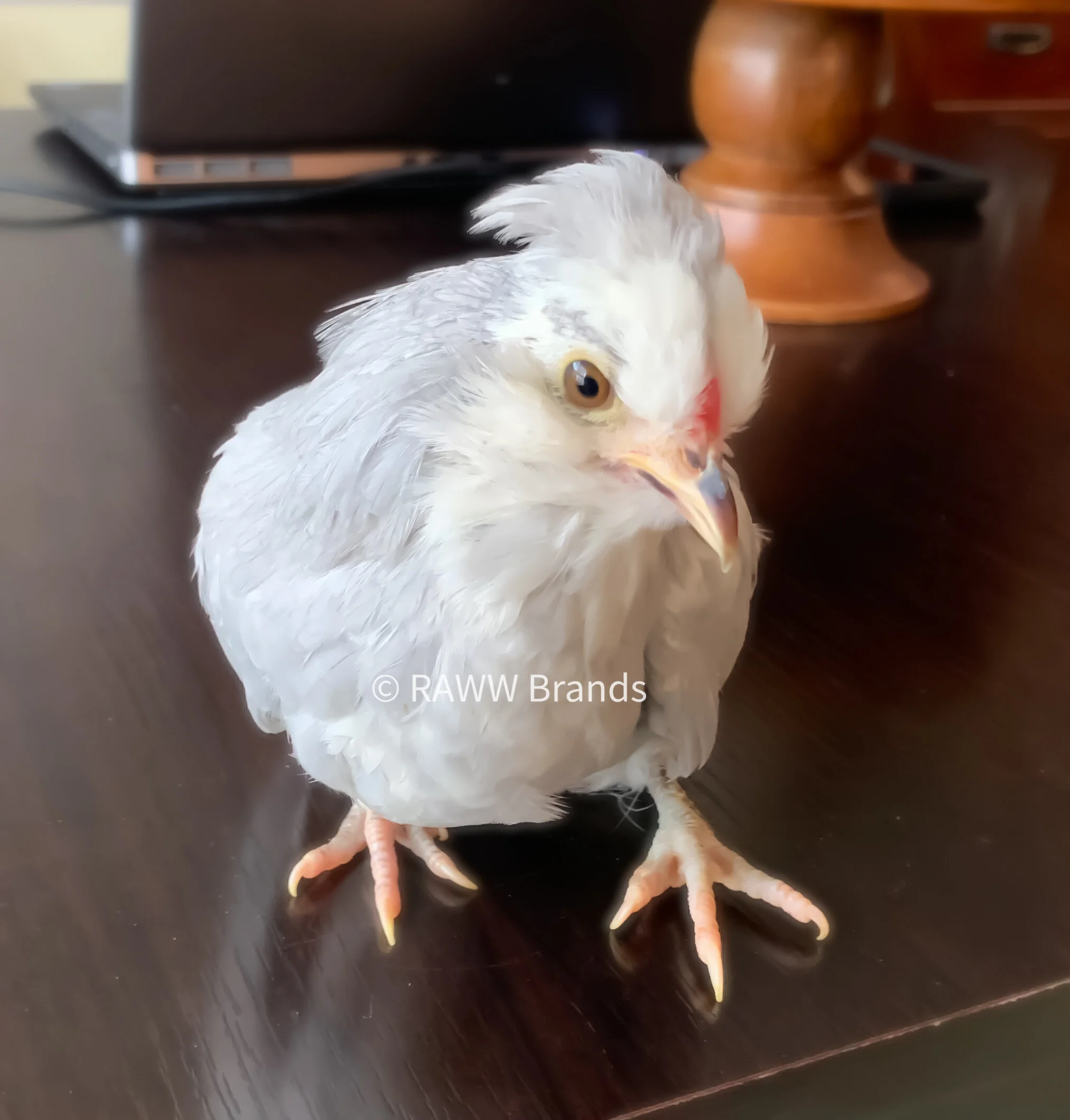 C4DA503F-520A-464D-8C6F-B1DA34F4AAB9