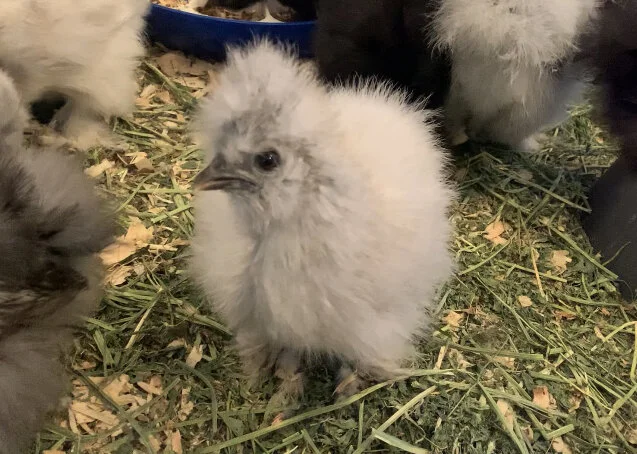 CEEB54B5-8459-4689-B344-0F8348EBEB0B