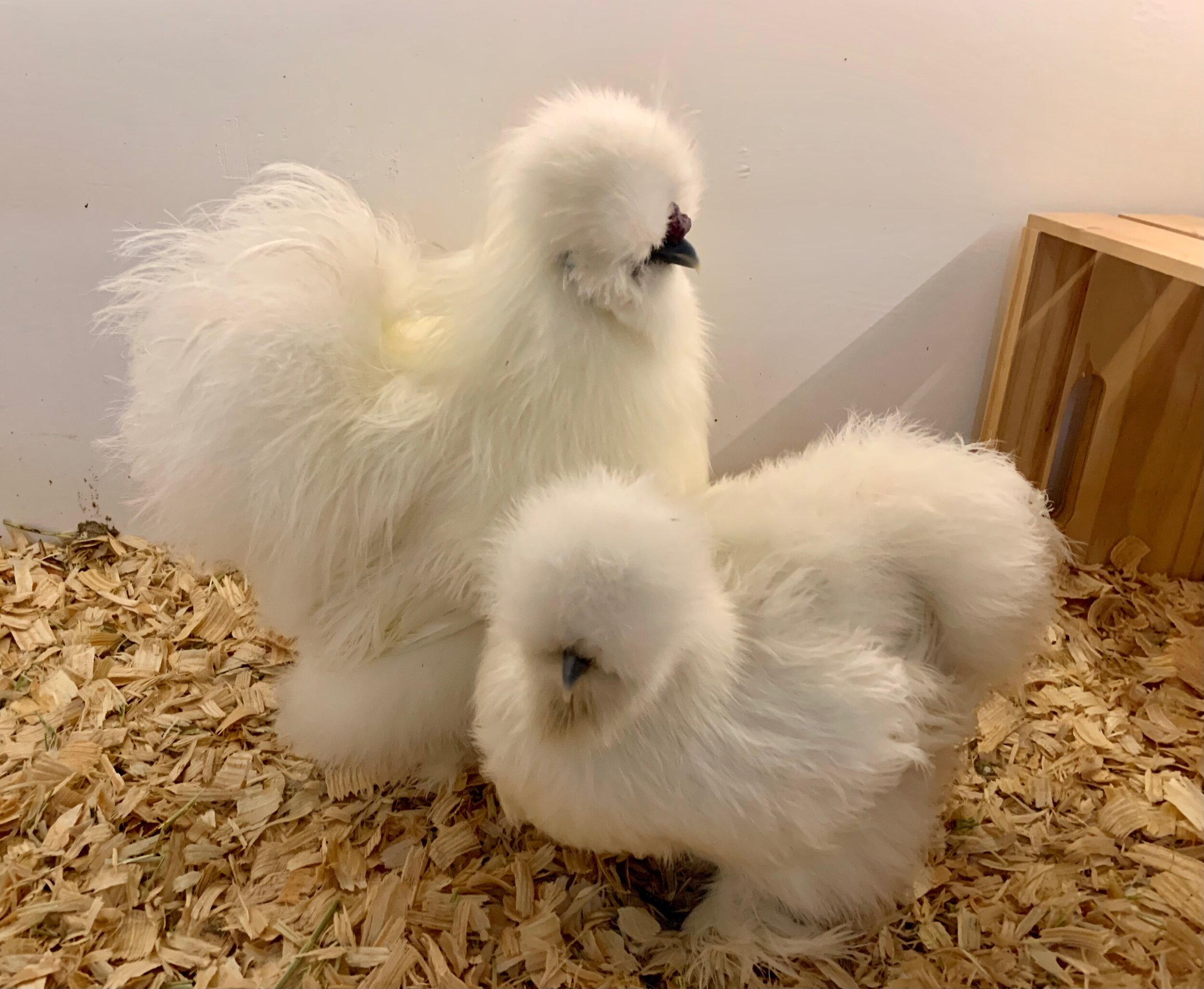 59D3B2E3-4E5E-4127-8D37-5C3955826320