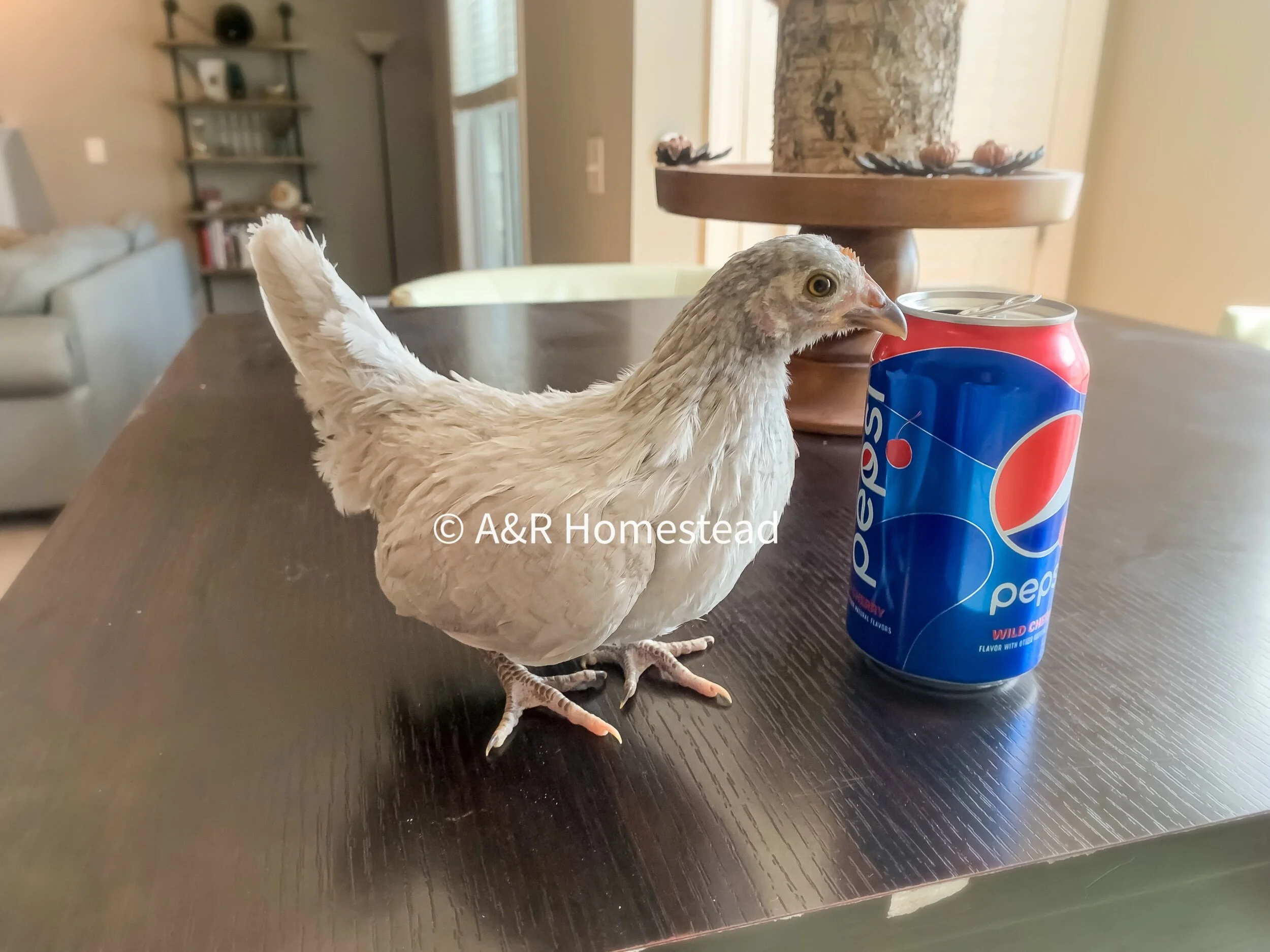 4D8D6360-F97C-440B-B624-AD45F515CEC9