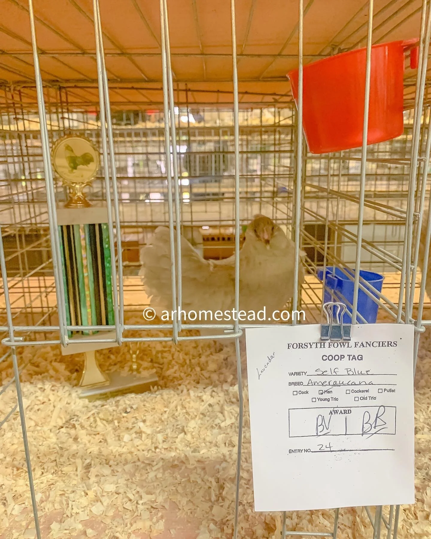 3532CBDB-D7F2-40F6-AD96-5B0200626F26