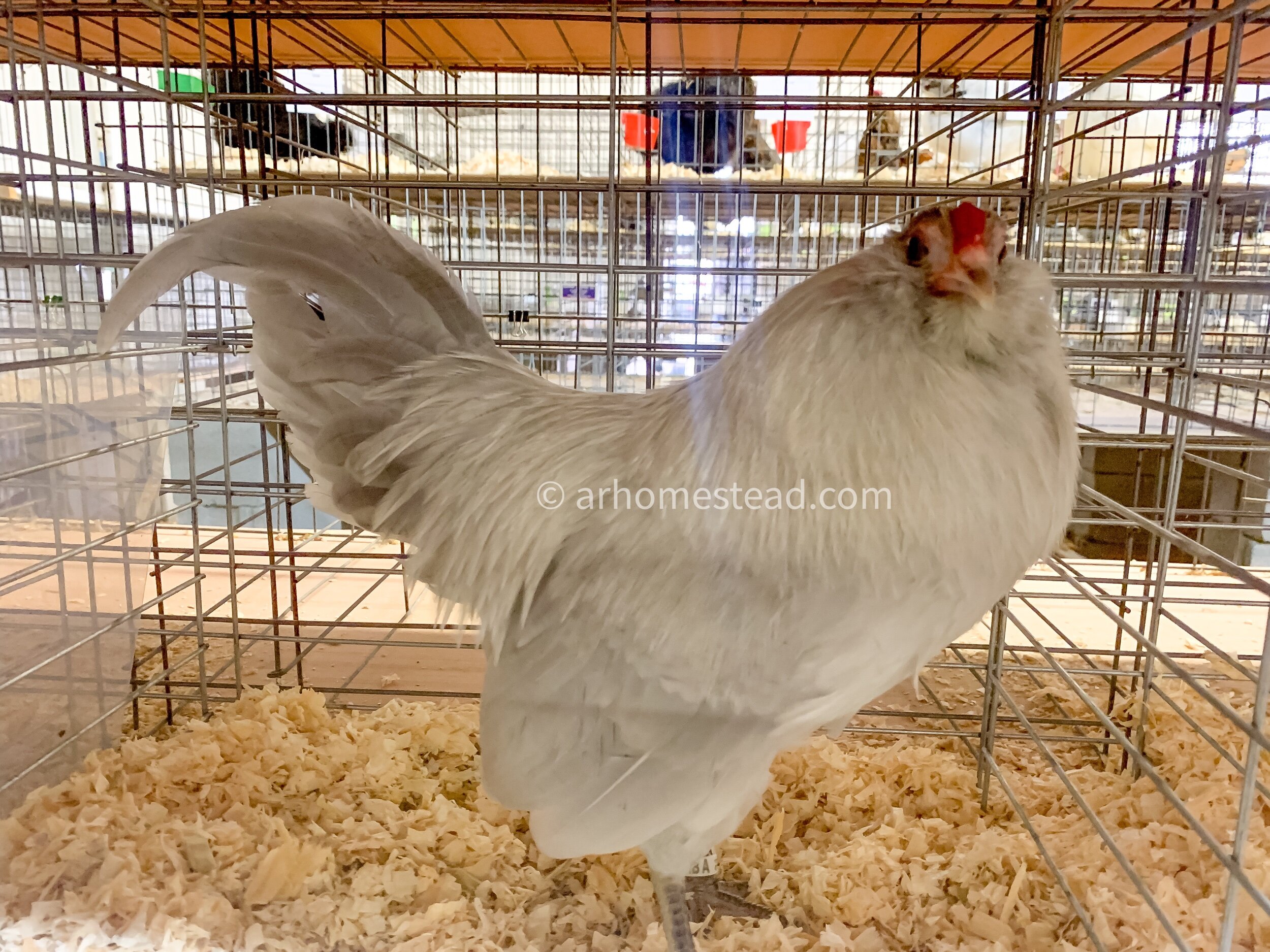 D21893CF-4DFB-40B0-BFBE-45643912E696