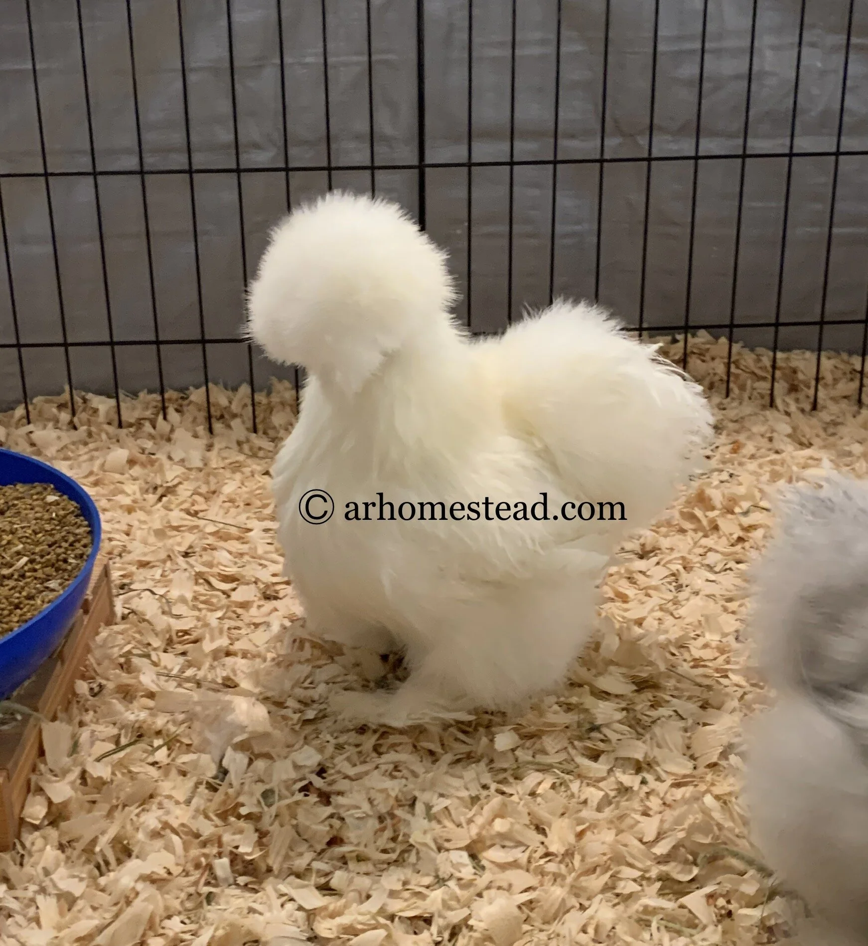 177A7BE9-3CA1-4912-A25D-0261939E8752