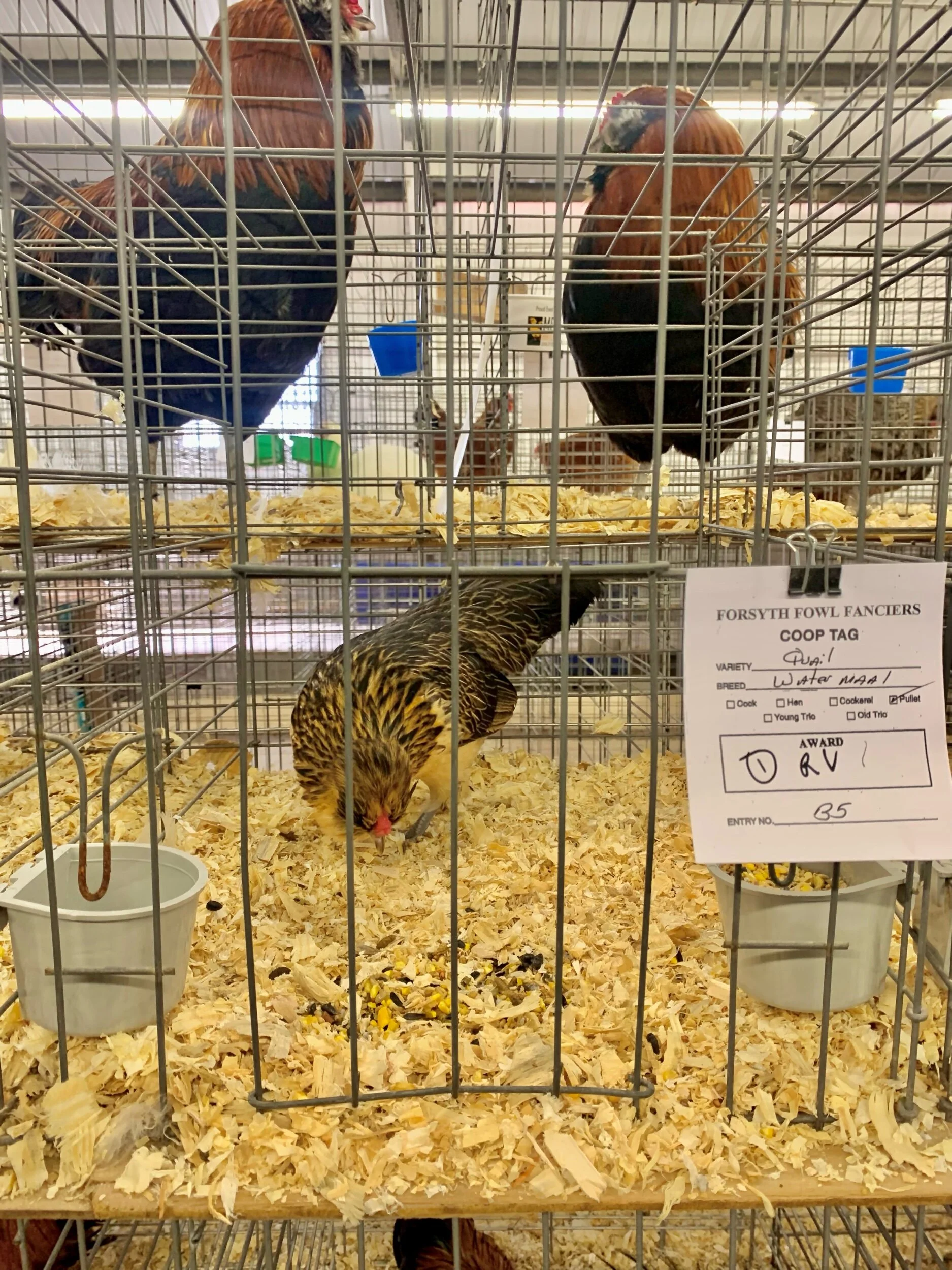 2B581BDA-FB10-469D-A919-E08B7676381E