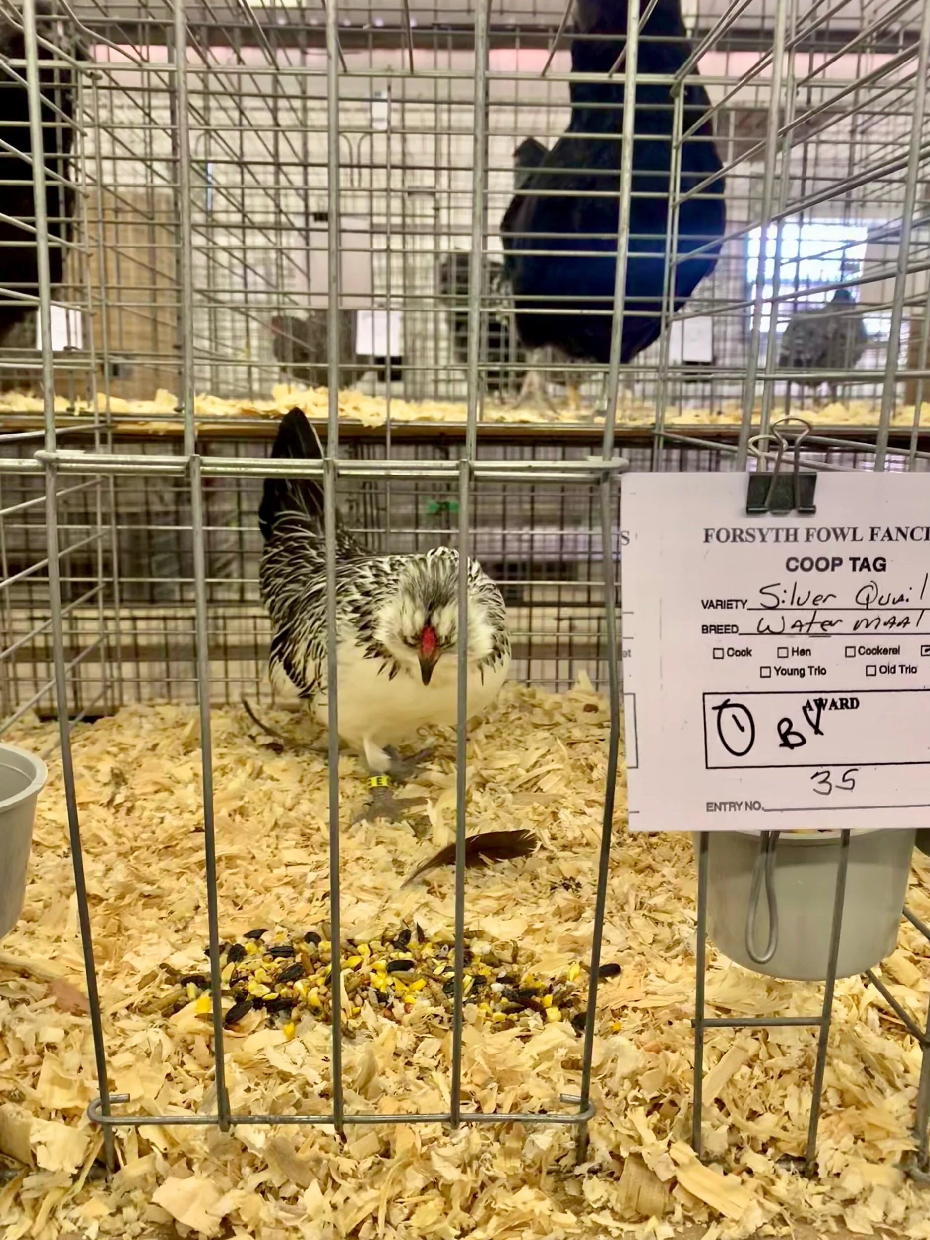 EE2F4ED5-03E6-493C-93AA-710D492EE9E6