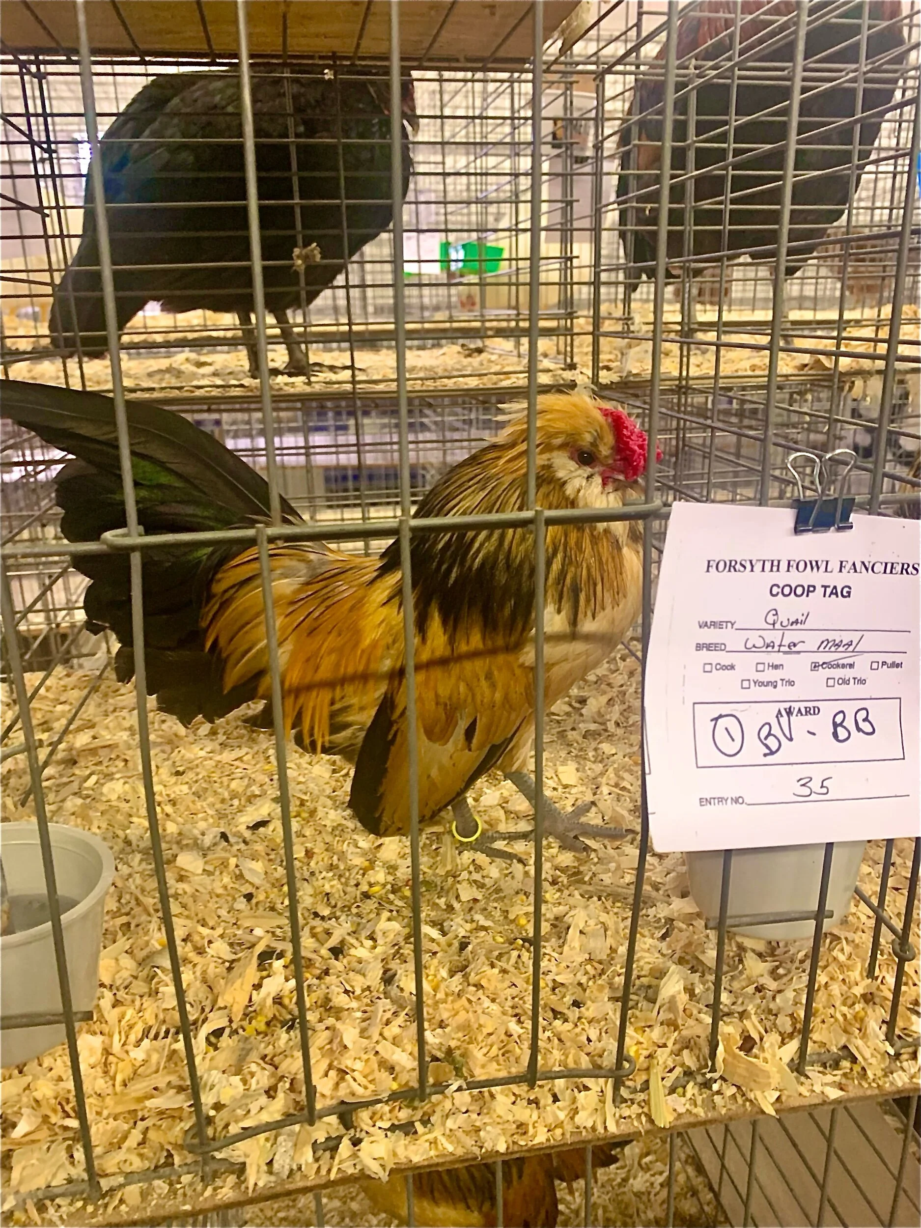 A7680A1C-5AE4-4788-99E0-E50AADE9987B