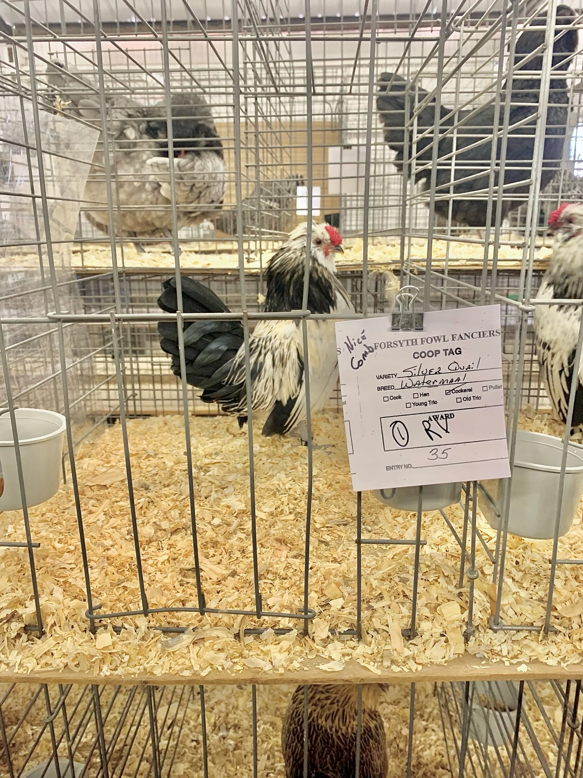 54A45BBE-0423-4F0F-8866-40107E61D03A