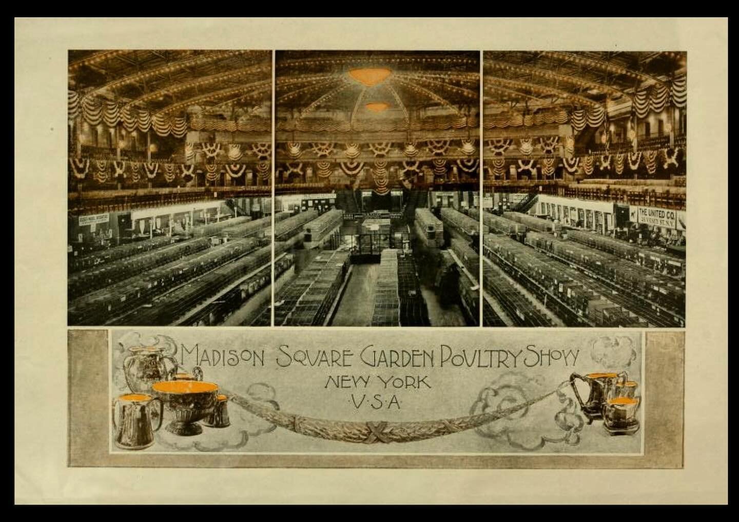 Wow! Madison Square Garden, Circa 1921! Being a NYC native, I wish this show was still being held. I&rsquo;d be there for every single one!!! 

#MadisonSquareGardenPoultryShow #MSG #PoultryShow 

Image Credit - John R. Robinson, Pub. 1921