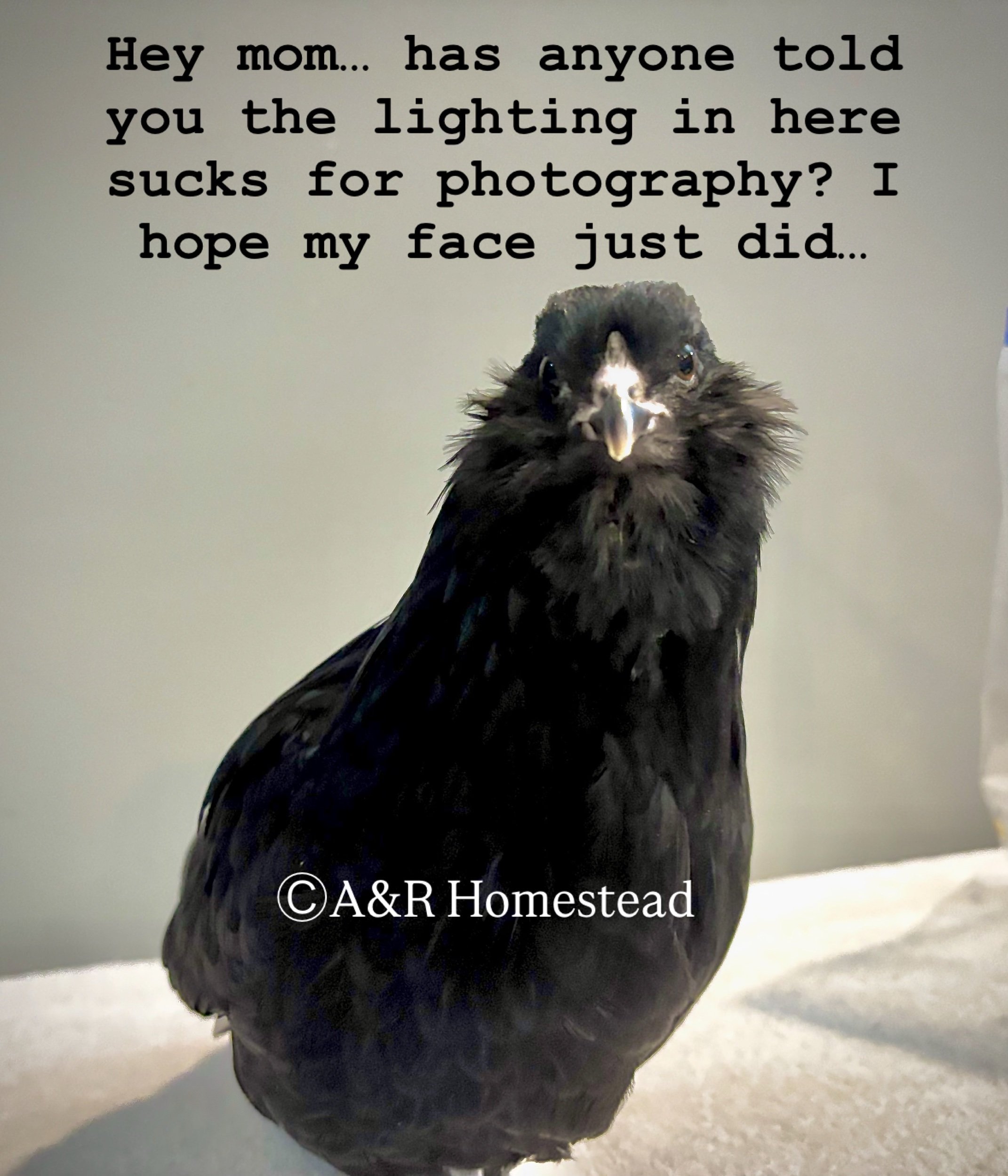 07C41876-E728-4C3A-83DF-EFE5BAD545CC.jpeg