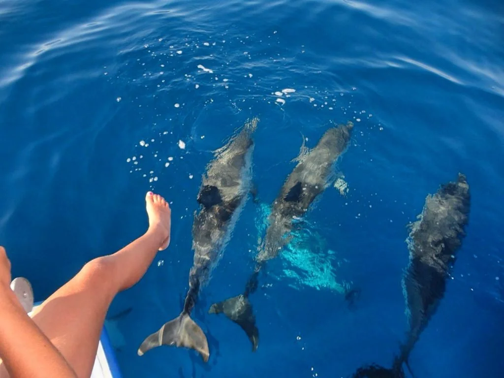 Viaggio a Mauritius, la natura che nutre, Divina Naturaleza