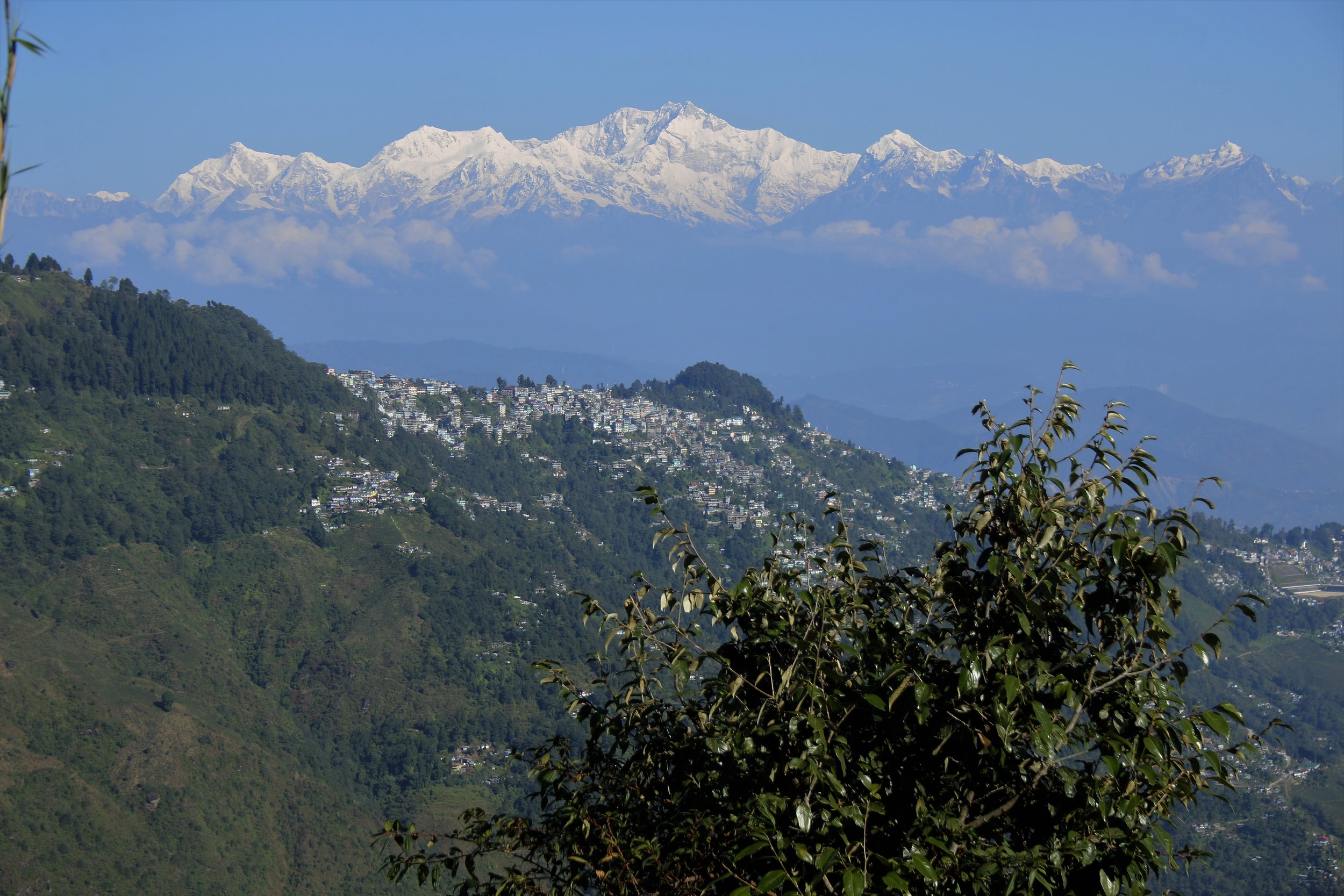 Kangenjunga + Darjeeling.JPG