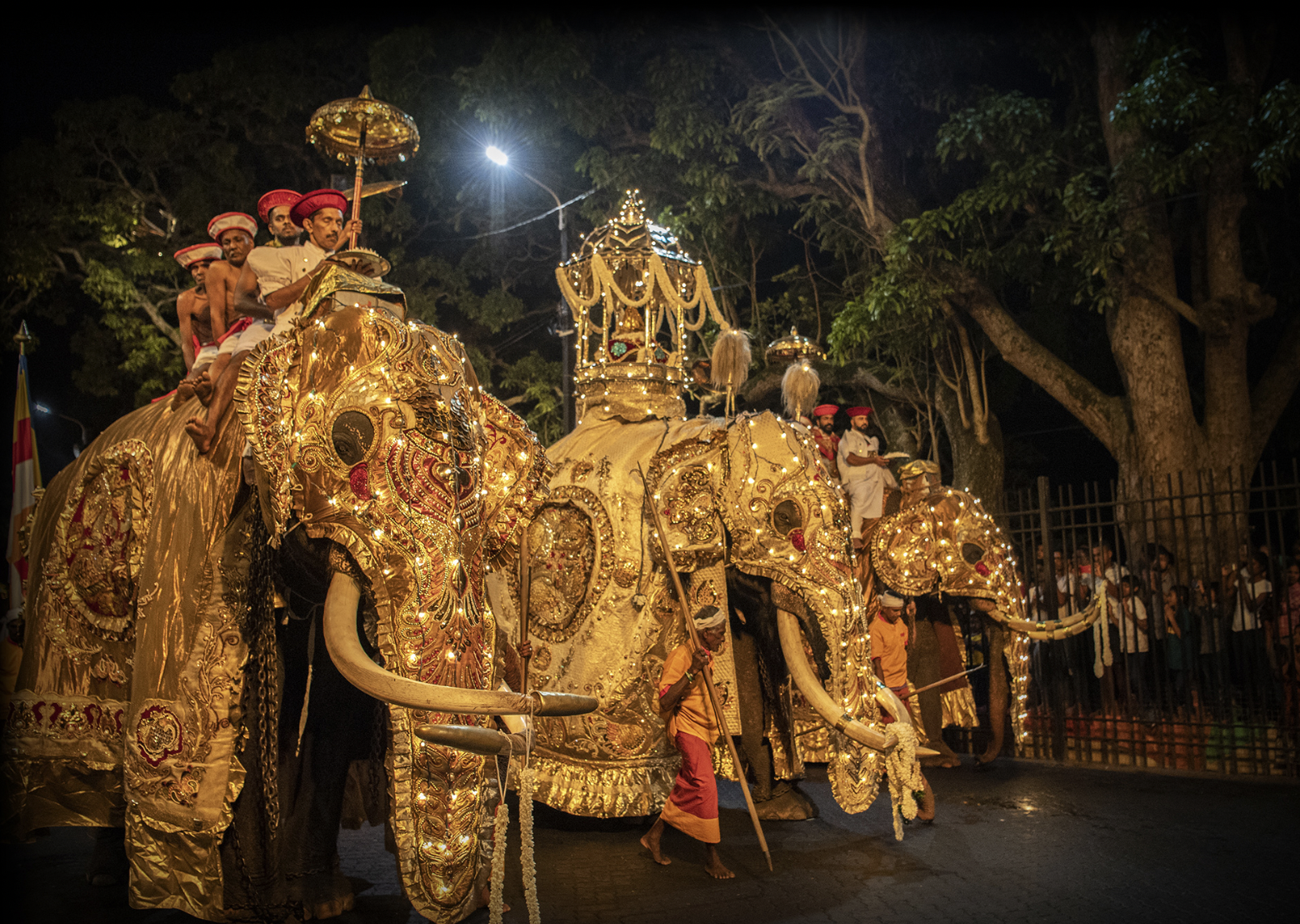 Sri Lanka in estate: tra festival buddisti, templi induisti, mare e piantagioni del the