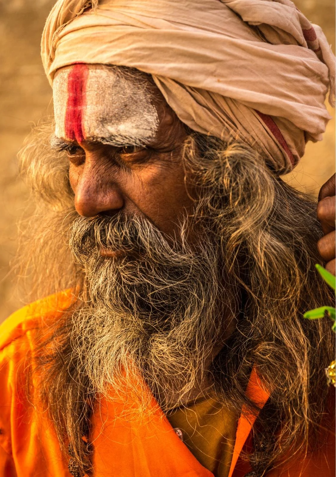 India del Nord: Lungo le rive del Gange: Dalla capitale dello yoga alla Città della Luce