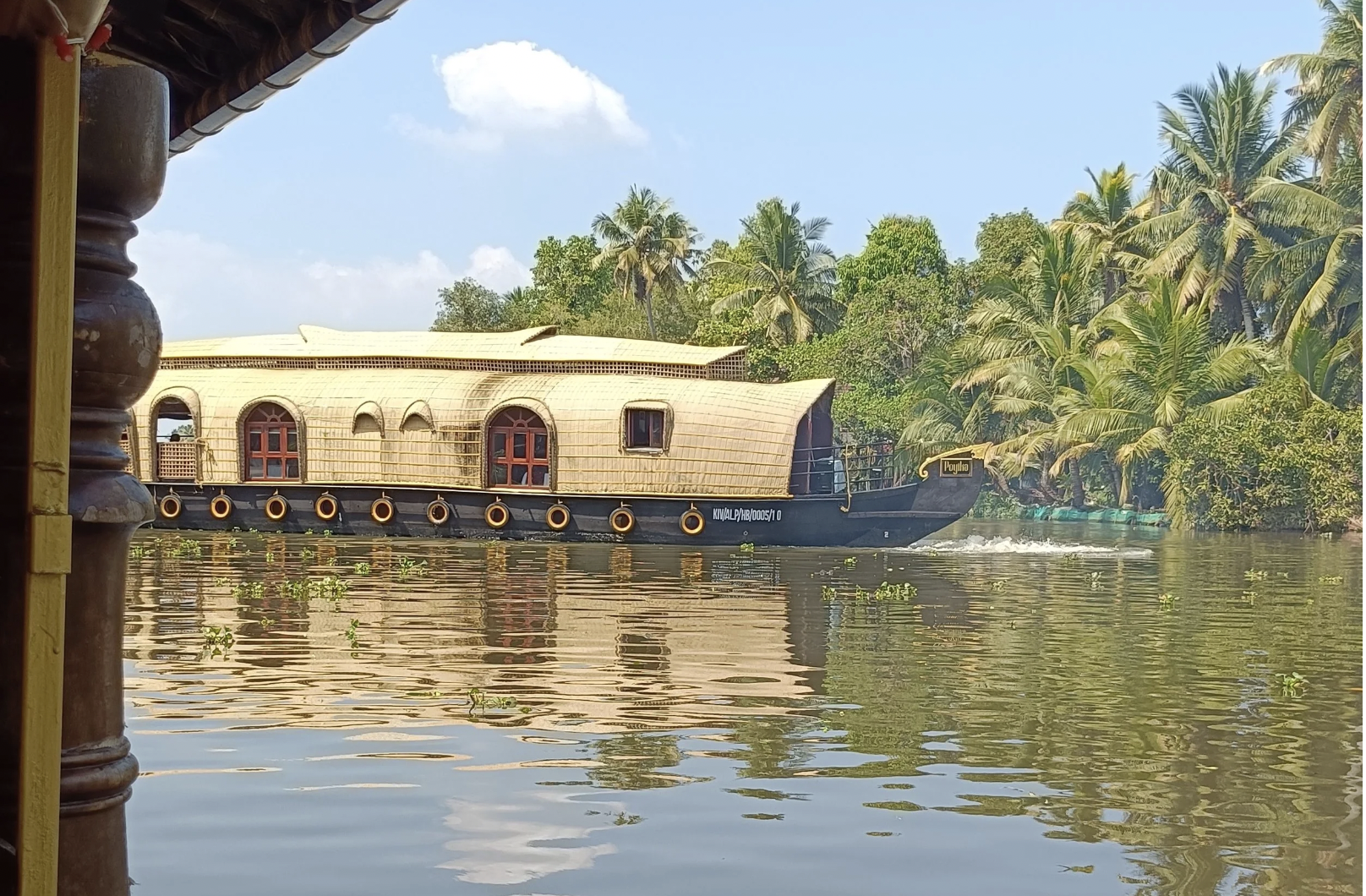 Kerala: un viaggio tra yoga, natura e Ayurveda