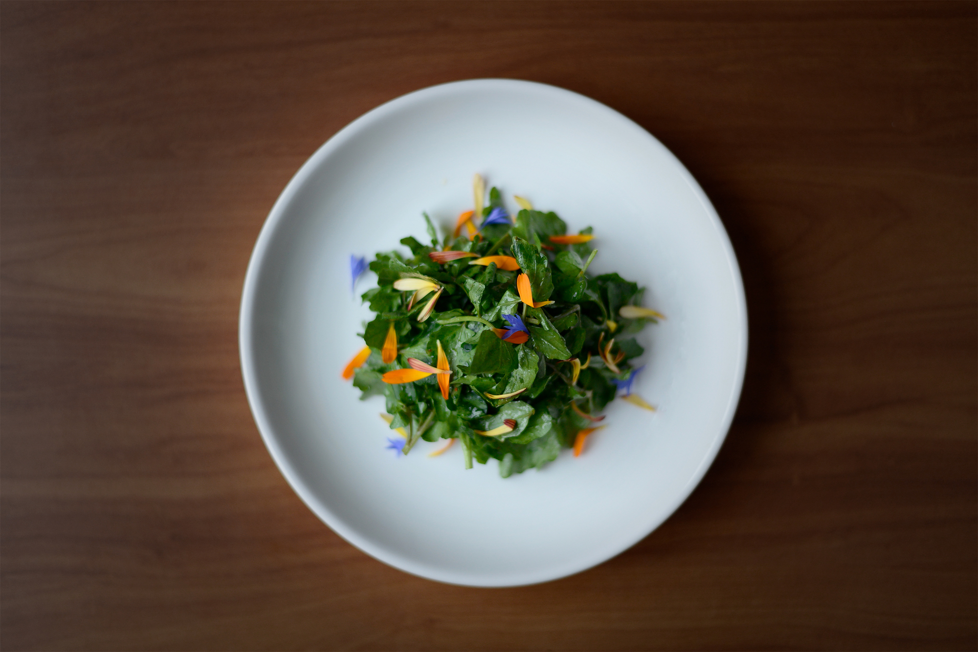 arugula - web.jpeg