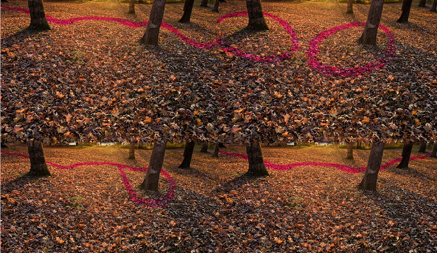 Four Paths To…