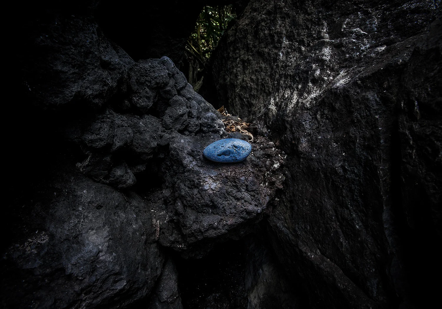 Blue Oval