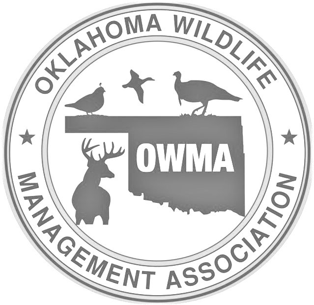 owma.jpg