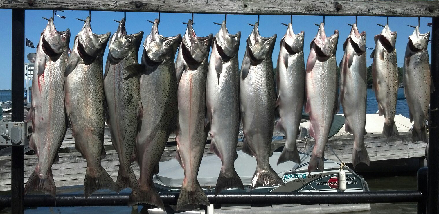 Popeye Charters What to Bring.jpg