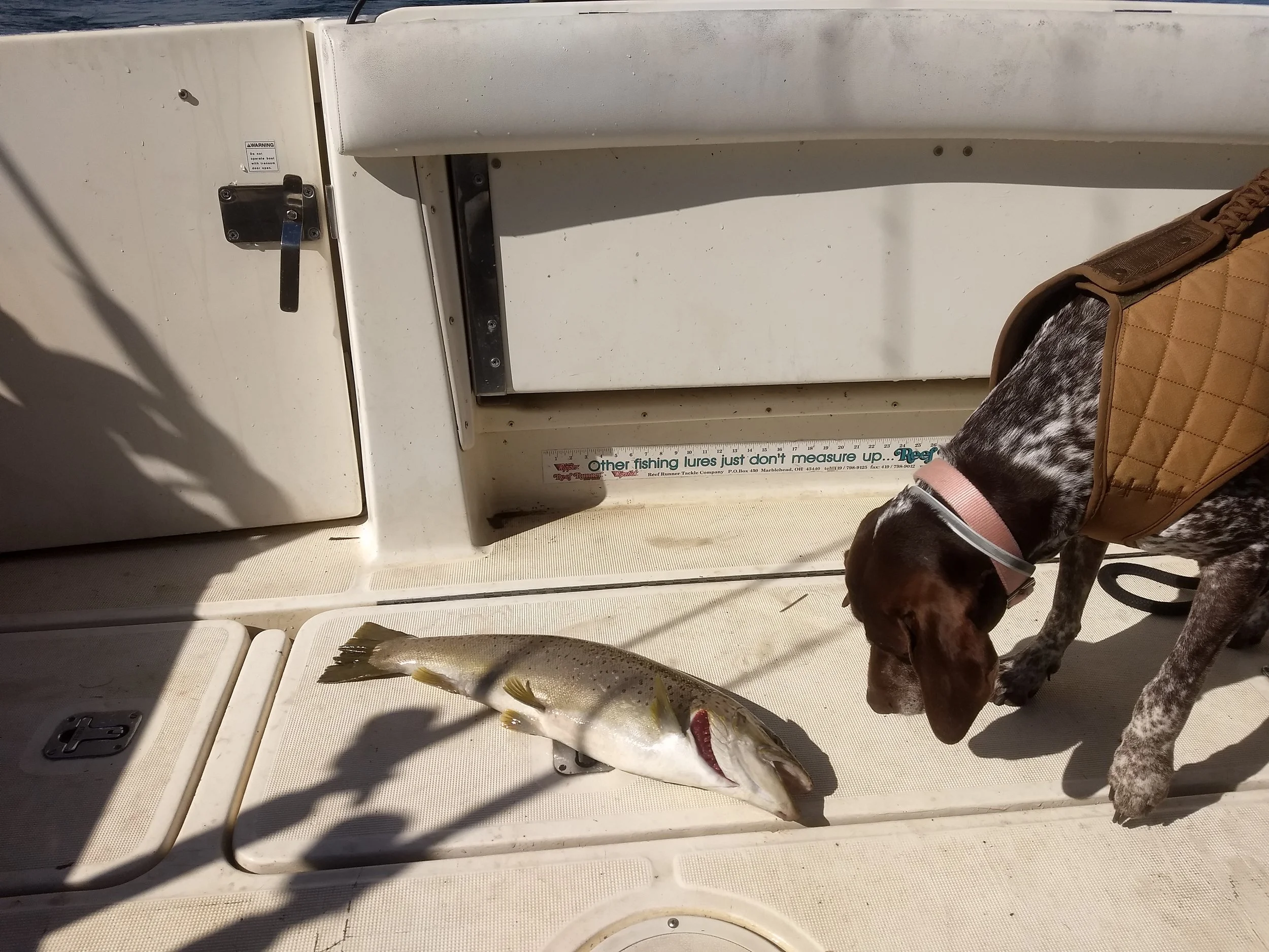 April 17th Shake Down