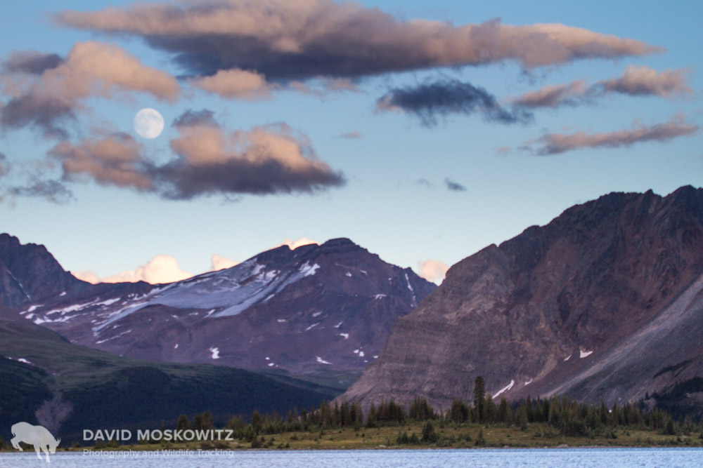  A full moon rises over a dying glacier in the Canadian Rockies. Climate change is affecting the ecosystem that mountain caribou call home. Alberta. 