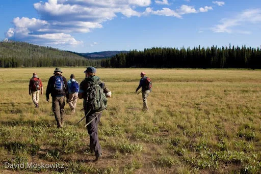 Students in Wilderness Awareness School’s Idaho Wolf Tracking Expedition hiking out across Corduroy meadows at the southern end of the Frank Church River of No Return Wilderness towards the end of a long day in the field searching for and following wolf tracks and signs.