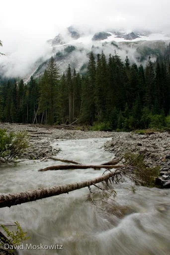 Mountain stream west of Whatcom Pass.North Cascades, Washington.