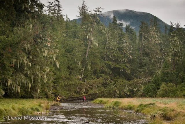 Two men dwarfed by the rainforest they are about to enter. They were out counting fish carcasses along the stream to determine the number of salmon returned thus far for the Heiltsuk Nation’s Fisheries Program.