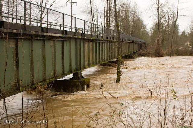 Tolt River, flood stage.