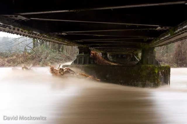 Under the old railroad trestle bridge over the Tolt River, WA.