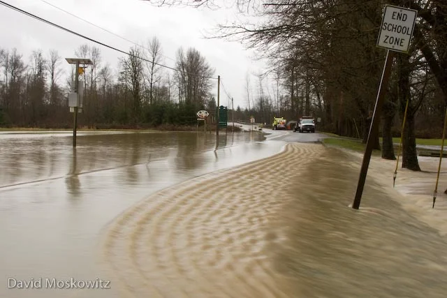 Highway 203, just south of downtown Carnation, WA.