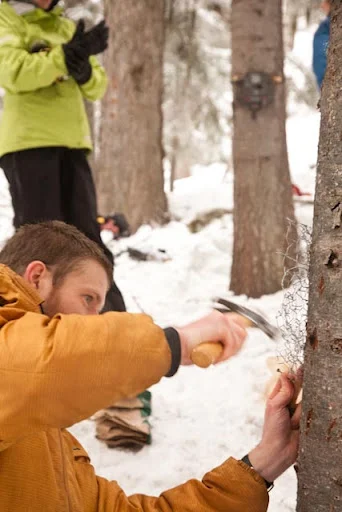 Pete attaching the chicken, wrapped in chicken wire, securely to the bait tree with remote camera in background.