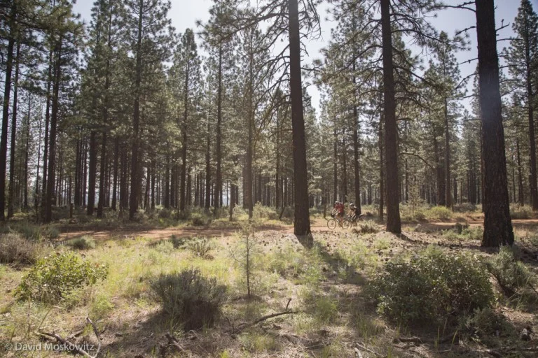 Rachael and Jay rolling through the pine forests of northern California.