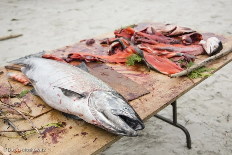 Meals often included traditional foods such as salmon and many other foods from the sea.