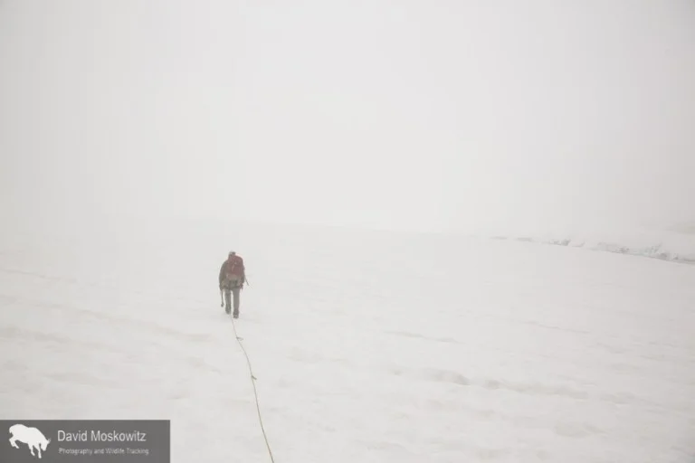 On the broad expanse of the glacier, the peaks and landmarks disappear leaving an eerie world with land and sky blending together into a world of white.